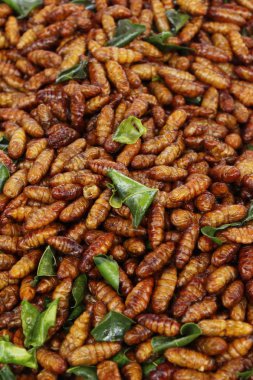 Fried ipek solucanlar sokak gıda lezzetli