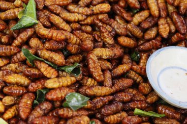Fried ipek solucanlar sokak gıda lezzetli