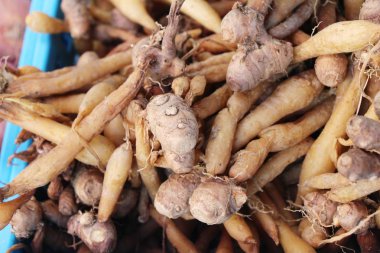 Belgili tanımlık çarşı içinde yemek pişirmek için zencefil kökü
