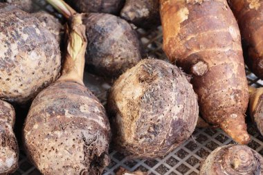 pazarda yemek için taze taro kök