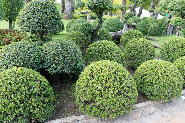 Vista Primavera Hermosa Jardín Inglaterra — Foto de Stock