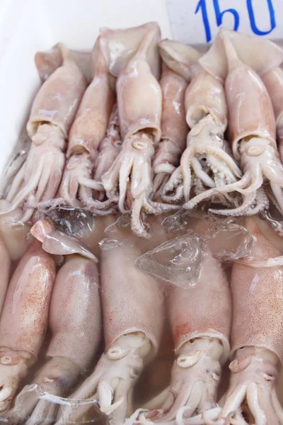 Świeże Kalmary Gotowania Przy Ulicy Żywności — Zdjęcie stockowe
