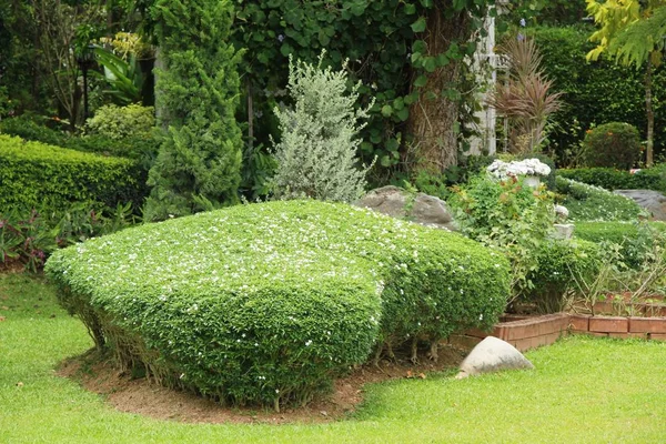 英国花园里的春天景色很美 — 图库照片