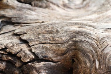 Eski ahşap güzellik duvar arka plan ve doku