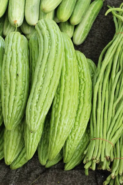 Zucca Melone Amaro Cucinare Nel Mercato — Foto Stock