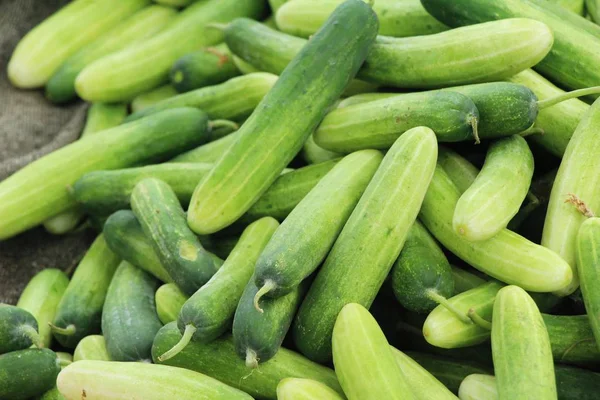 Verse Komkommers Voor Het Koken Markt — Stockfoto