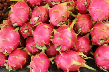 Taze dragon meyve organik pazar