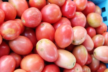 Sokak gıda yemek için taze domates