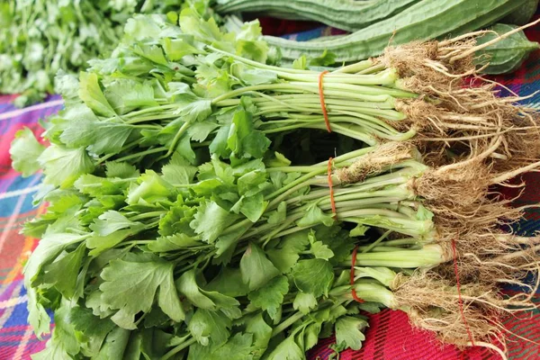 Belgili tanımlık çarşı içinde yemek pişirmek için kereviz sebze