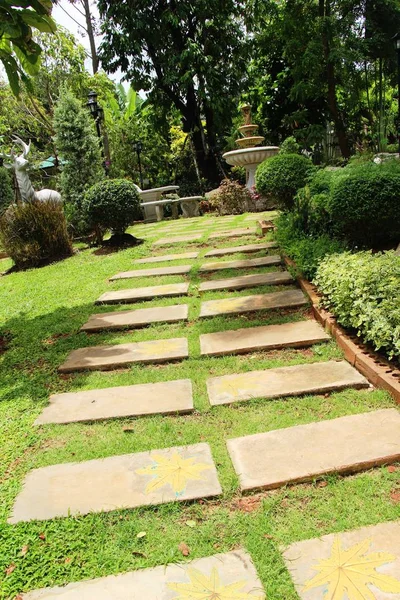 Trädgård Promenad Sätt Med Sten Naturen — Stockfoto