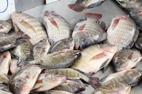 Verse Vis Voor Het Koken Straat Eten — Stockfoto