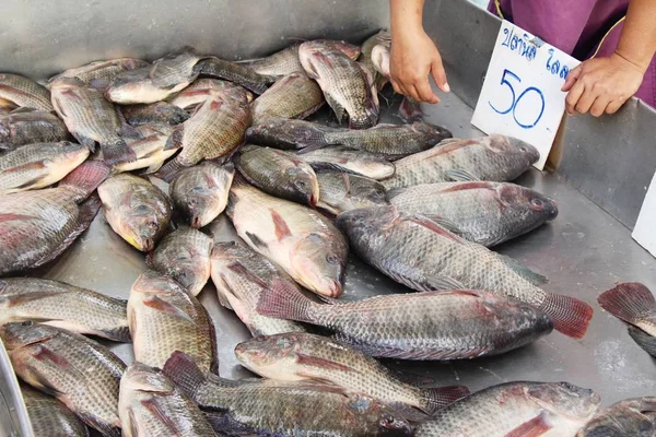 Peixe Fresco Para Cozinhar Comida Rua — Fotografia de Stock