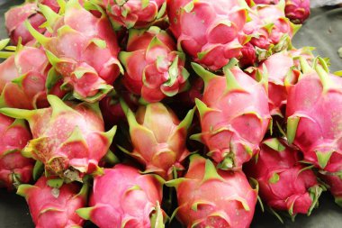 Taze dragon meyve organik pazar