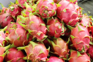 Taze dragon meyve organik pazar