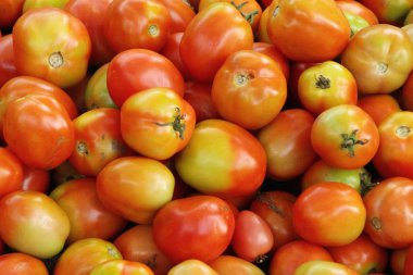 Sokak gıda yemek için taze domates