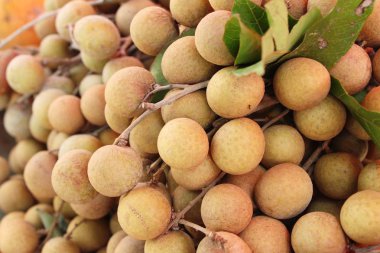 Longan lezzetli, Tay meyve sokak gıda