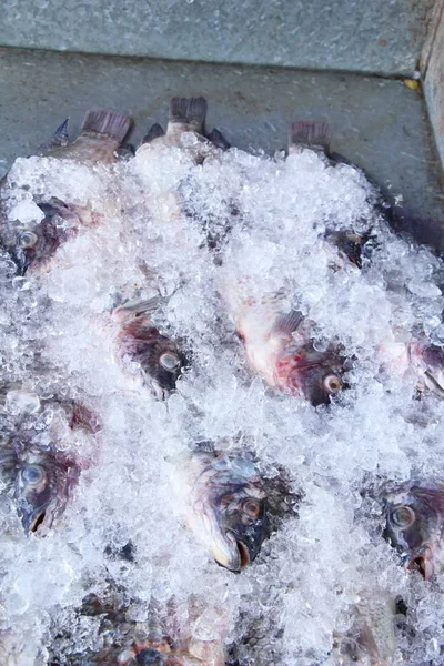 Świeżych Ryb Gotowania Przy Ulicy Żywności — Zdjęcie stockowe