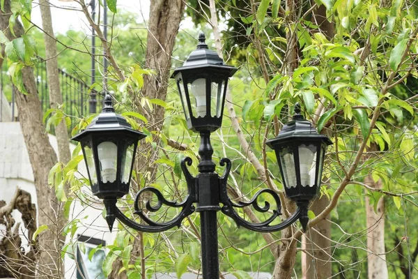 Lampe Dans Jardin Style Vintage — Photo