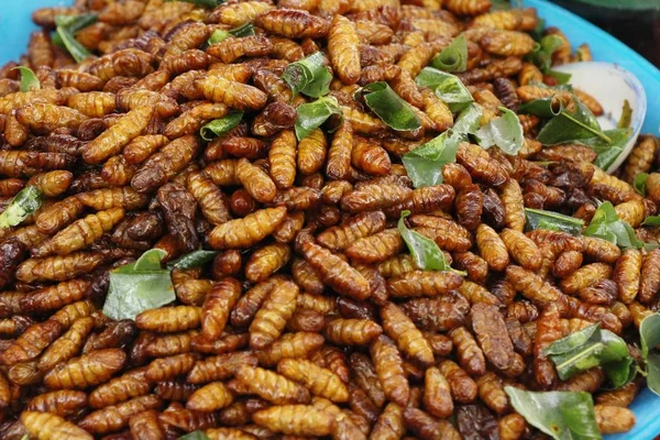Fried Silk Worms Delicious Street Food — Stock Photo, Image