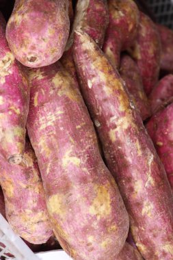 Taze yam pişirme için piyasada
