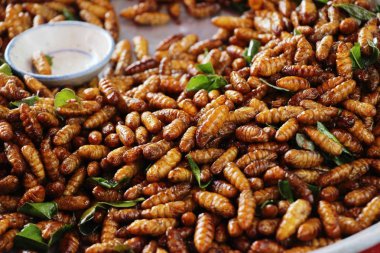 Fried ipek solucanlar sokak gıda lezzetli