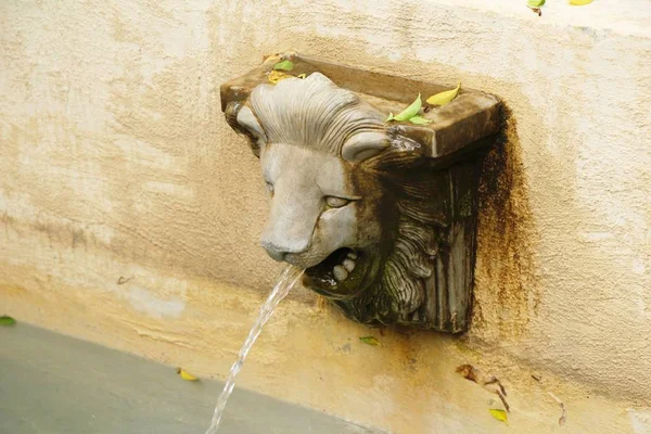 Lion Statue Spitting Water Vintage Style Garden — Stock Photo, Image