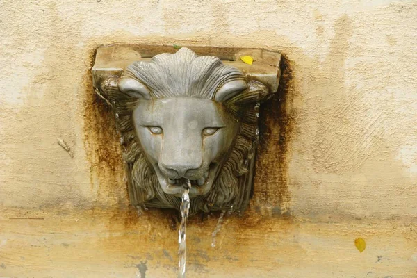 Löwenstatue Spuckt Wasser Garten — Stockfoto