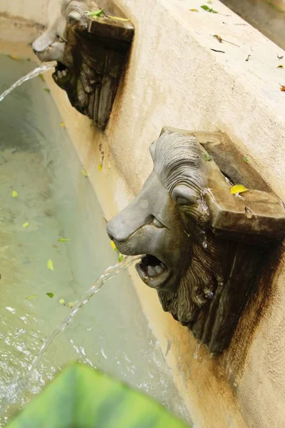 Estatua León Escupiendo Agua Estilo Vintage Jardín —  Fotos de Stock