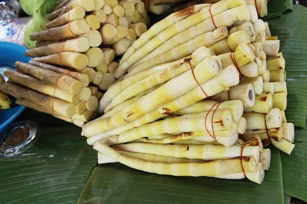 Pousse Bambou Doux Pour Cuisson Marché — Photo