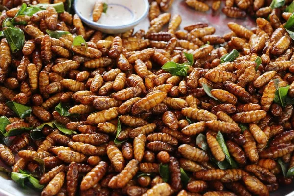 Vermes Seda Fritos Deliciosos Comida Rua — Fotografia de Stock