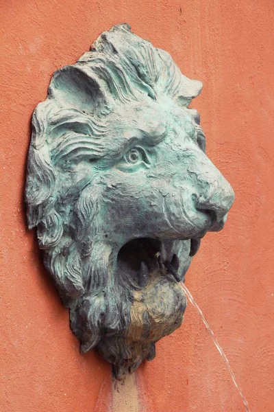 Löwenstatue Spuckt Wasser Garten — Stockfoto