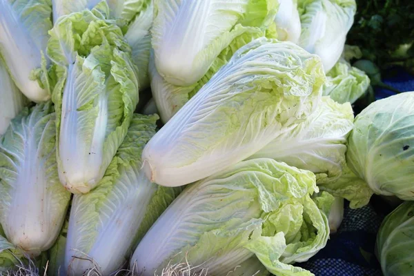 Fresh Cabbage Cooking Street Food — Stock Photo, Image