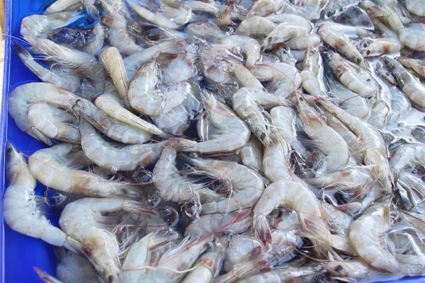 Udang Segar Untuk Memasak Makanan Jalanan — Stok Foto