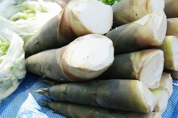 Съемки Бамбука Приготовления Пищи Рынке — стоковое фото