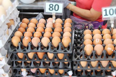Piyasada panelinde yumurta
