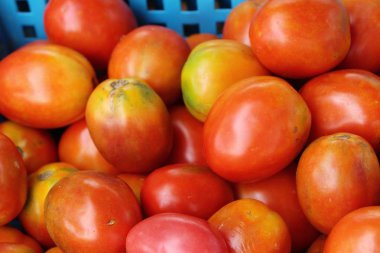 Sokak gıda yemek için taze domates