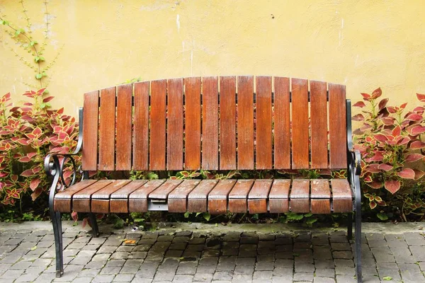 Holzstühle Garten Vintage Stil — Stockfoto