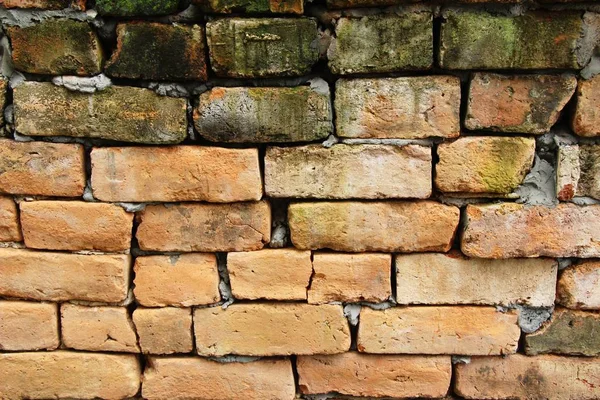 Old Brick Background Beautiful Vintage Style — Stock Photo, Image