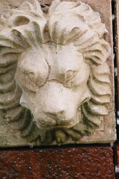 Estatua Escupiendo Agua Estilo Vintage Jardín —  Fotos de Stock