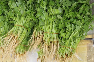 Belgili tanımlık çarşı içinde yemek pişirmek için taze kişniş