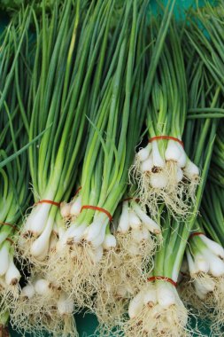 İçinde belgili tanımlık çarşı taze soğan
