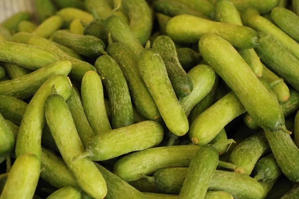 Pepinos Frescos Para Cozinhar Mercado — Fotografia de Stock