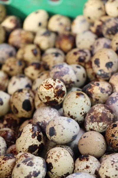 Quail Eggs Sauce Street Food — Stock Photo, Image