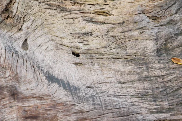 Stare Drewniane Piękna Ściana Tło Tekstura — Zdjęcie stockowe