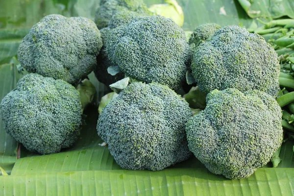 Broccoli Vegetable Cooking Market — Stock Photo, Image
