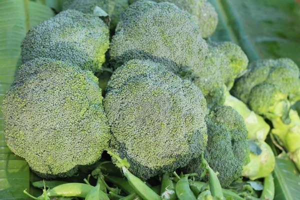 Broccoli Grøntsager Til Madlavning Markedet - Stock-foto
