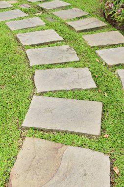 Doğada taşlı Bahçe yürüme yolu