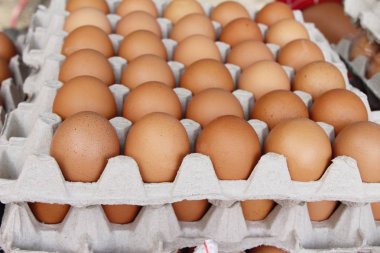 Piyasada panelinde yumurta