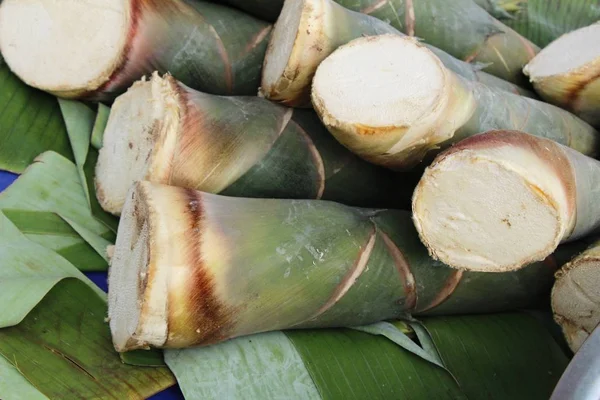 Brote Bambú Dulce Para Cocinar Mercado — Foto de Stock