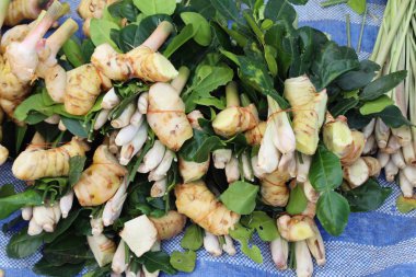 Sebze için baharatlı çorba sokak gıda ayarla